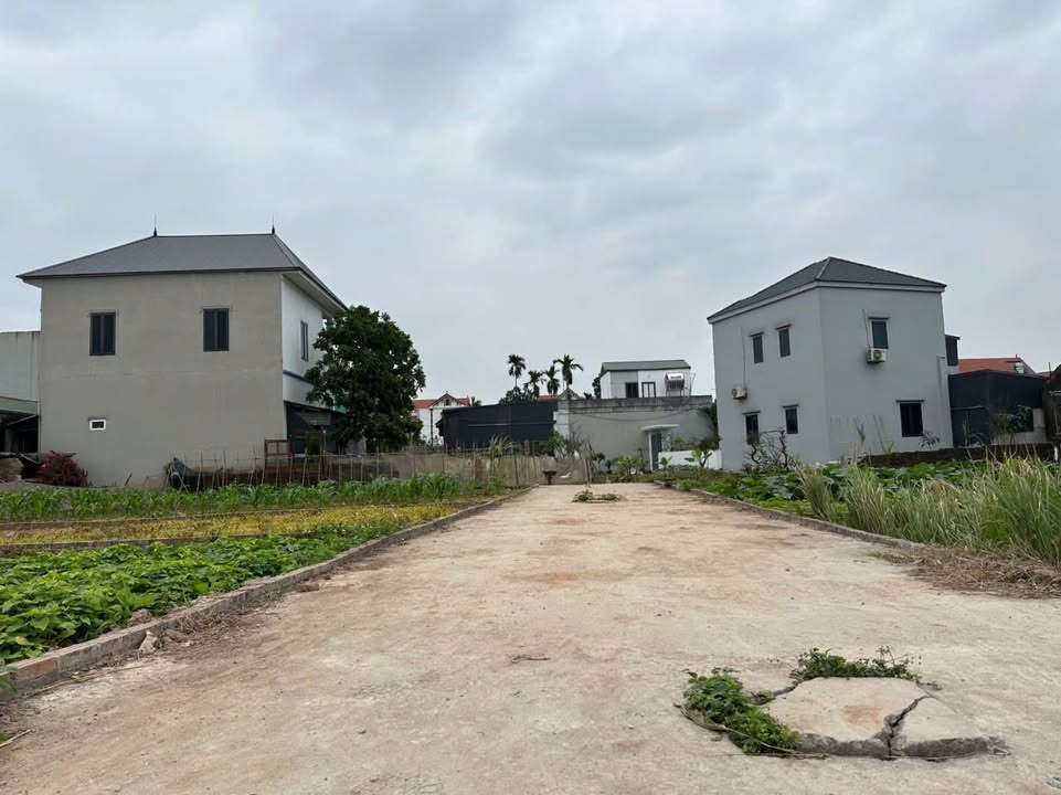 Đất thổ cư Kỳ Dương, Thường Tín, 80m² - Chính chủ, giá chỉ 480 triệu!