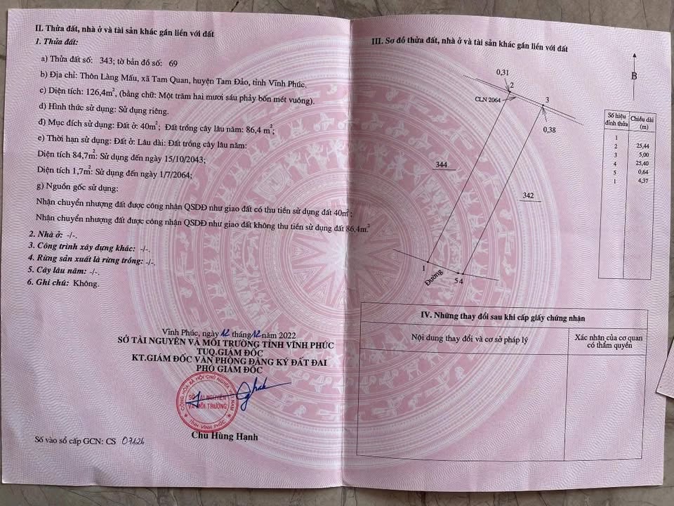 Đất nền Tam Quan, Tam Đảo 126,4m² giá chỉ 1 tỷ - Cơ hội đầu tư tuyệt vời!