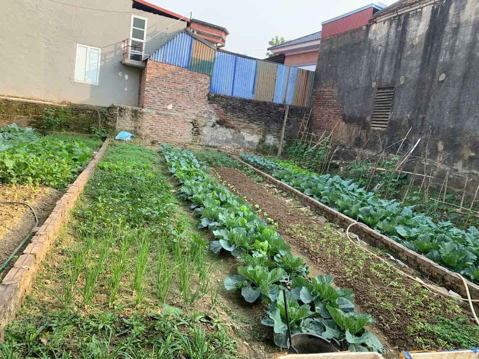 Đất thổ cư 56,8m² tại xã Đa Phúc chỉ 800 triệu - Cơ hội đầu tư tuyệt vời!