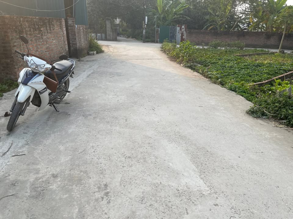 Đất nền 52m² tại Tân Minh, Sóc Sơn giá chỉ 1 tỷ - Gần trường học và chợ!