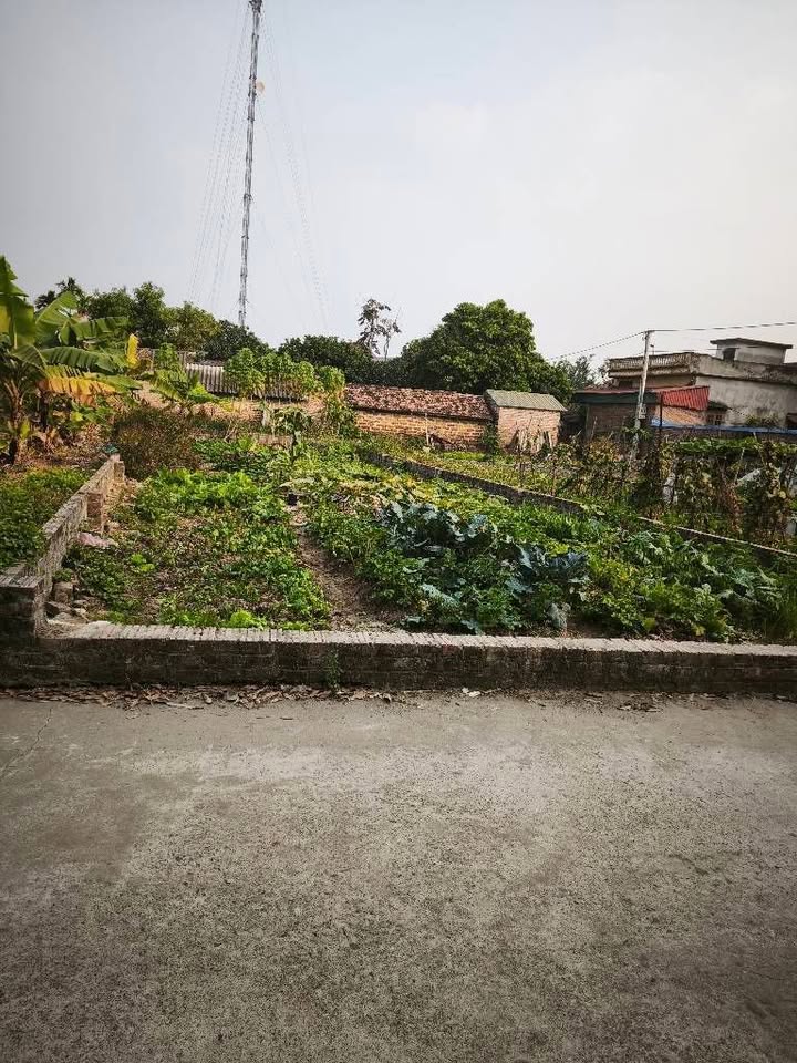 Đất nền Sóc Sơn 138.6m² giá 3 tỷ - Sổ đỏ chính chủ, vị trí đắc địa!