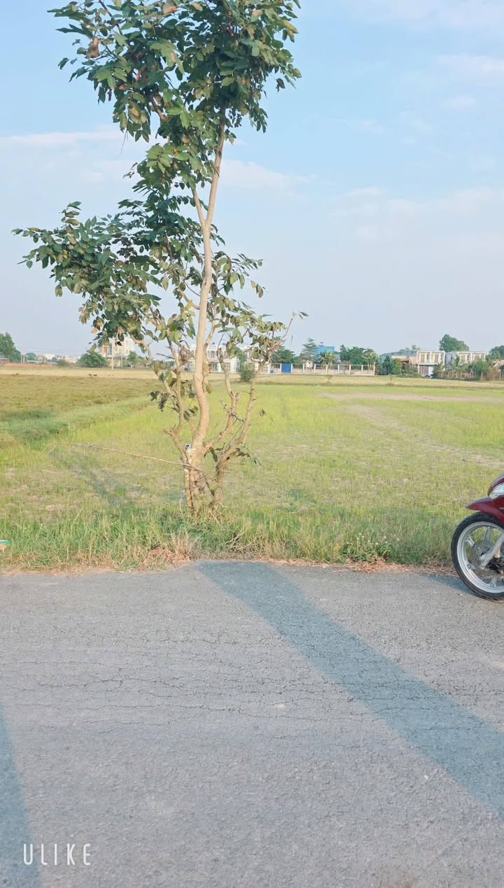 Đất nền xã Mỹ Hạnh, Đức Hòa 150m² giá 1.4 tỷ - Cơ hội đầu tư hấp dẫn!