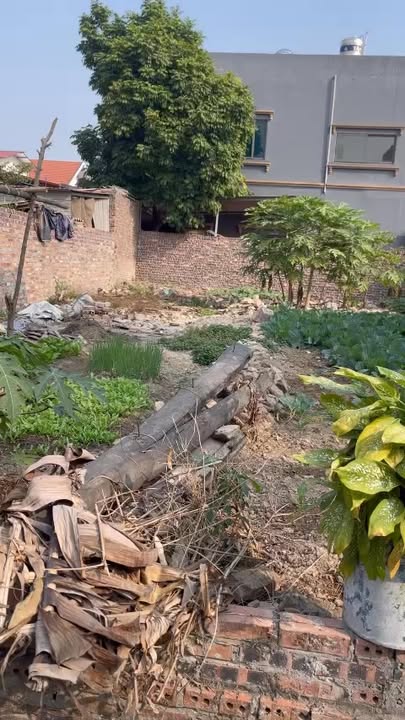 Đất thổ cư Hồng Thái, Việt Yên, Bắc Giang 100m² giá 1.6 tỷ - Cơ hội đầu tư tuyệt vời!