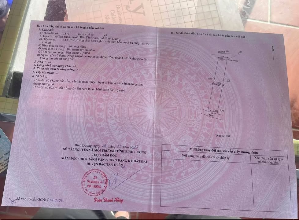 Đất nền 55 Tân Định, Bắc Tân Uyên 1143m² giá 850 triệu - Cơ hội đầu tư tuyệt vời!