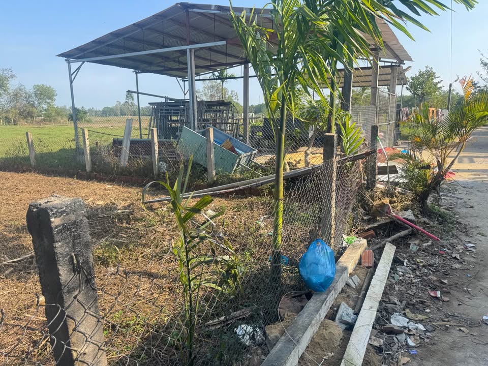 Đất vườn Tam Phú 500m² giá 3xx triệu - Cơ hội đầu tư hấp dẫn!