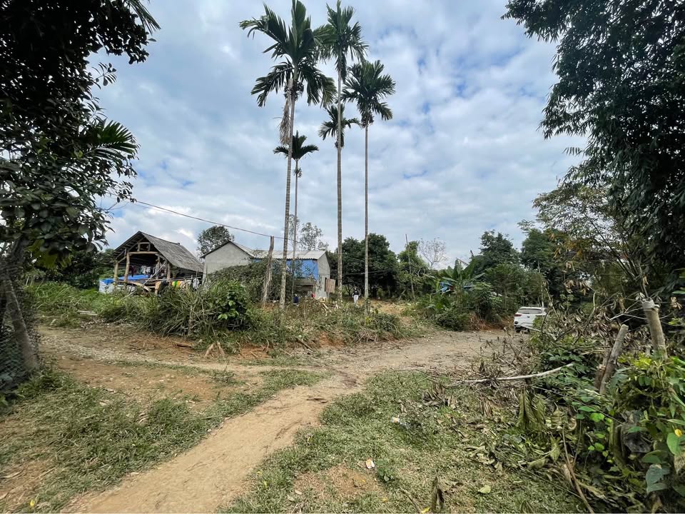 Đất nền Lạc Sơn, Hòa Bình 650m² giá chỉ từ 200 triệu - Cơ hội đầu tư tuyệt vời!