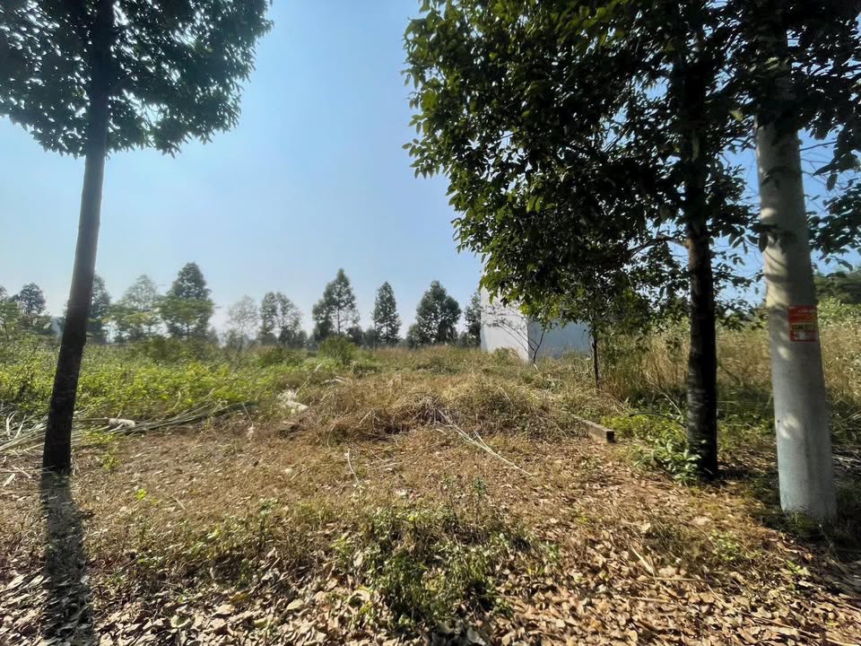 Căn hộ 100m² khu TDC ĐH Quốc Gia Hà Nội giá 5 tỷ - Cơ hội đầu tư hấp dẫn!