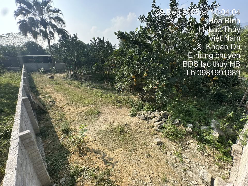 Đất thổ cư 615m² tại Khoan Dụ, Lạc Thủy giá chỉ 1 tỷ - Đầu tư sinh lời!