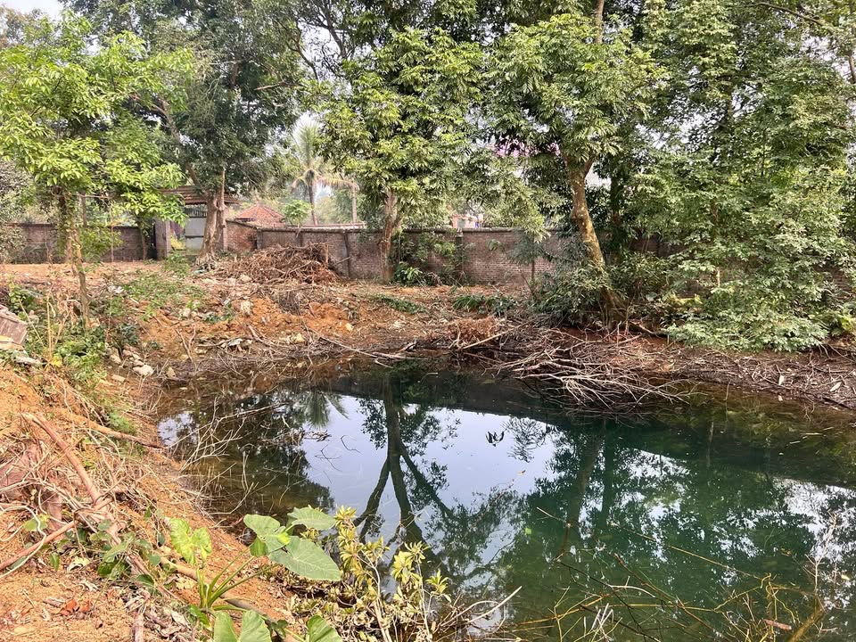 Đất nông nghiệp xã Hòa Sơn, huyện Lương Sơn 3300m² - Đầu tư sinh lời, nghỉ dưỡng lý tưởng!