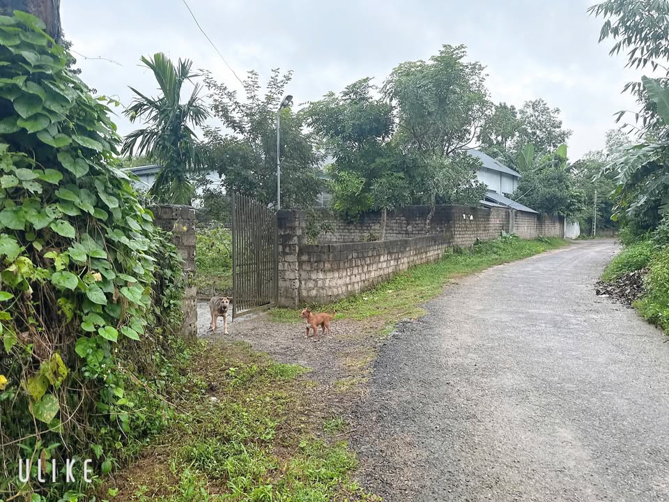 Đất thổ cư Cao Dương Lương Sơn 644m² - Mặt tiền gần 30m, thuận lợi kinh doanh