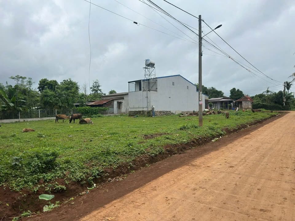 Đất thổ cư Cư Bao Buôn Hồ 260m² giá 750 triệu - Hướng Đông, đường ô tô rộng rãi!