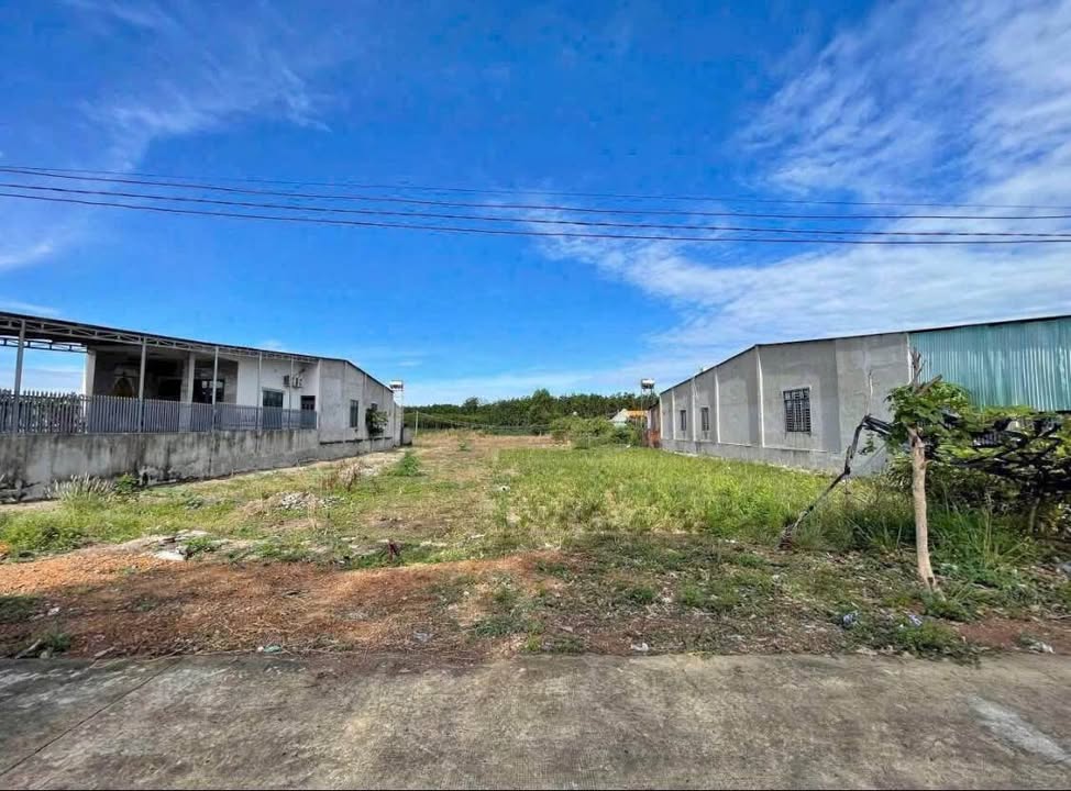 Đất nền mặt tiền Quốc lộ 13, Chơn Thành 300m² chỉ 180 triệu - Cơ hội vàng ăn Tết!