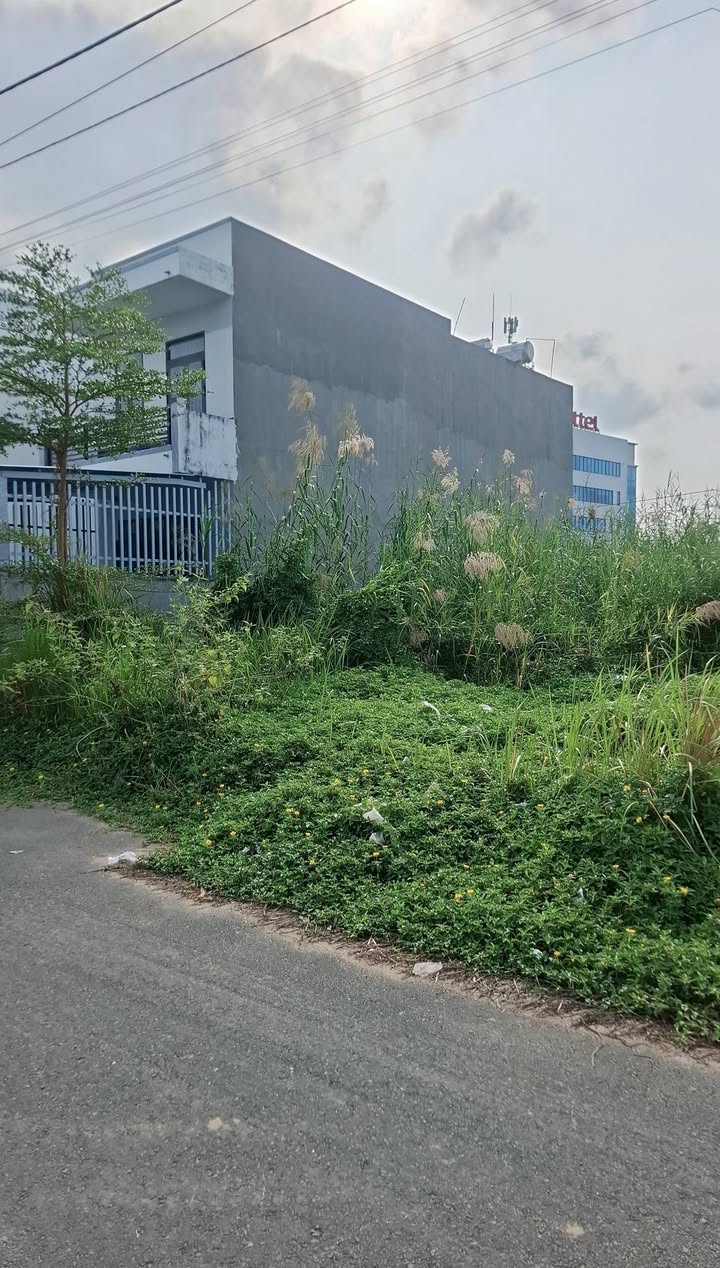 Đất nền KDC Tràng An Bạc Liêu 90m² giá 790 triệu - Đầu tư lý tưởng!