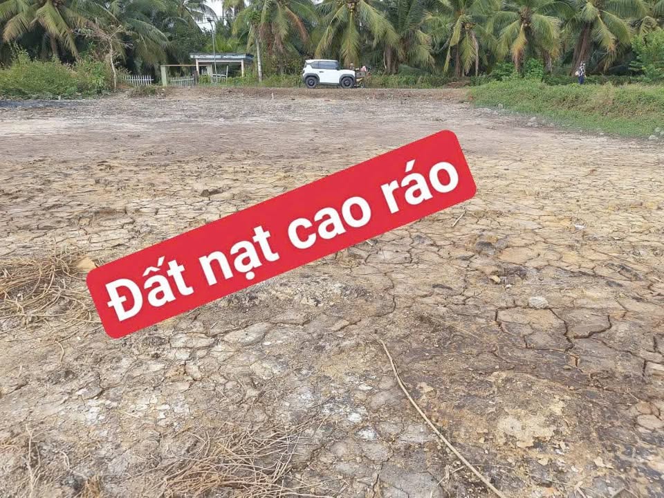 Đất nền liền kề Phú Lộc Tam Bình 1750m² giá chỉ 325 triệu - Cơ hội đầu tư hấp dẫn!