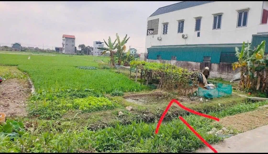 Đất nền giãn dân Trung Đẳng Hưng Yên 130m² giá chỉ 900 triệu - Đầu tư sinh lời ngay!