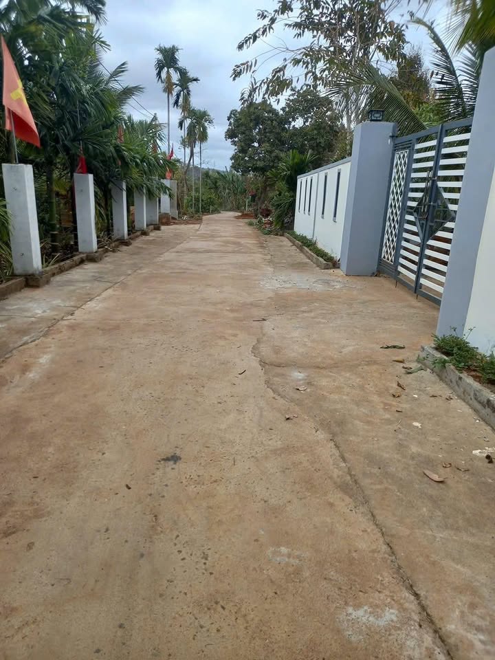 Đất nền Thôn 3, Xã Ea Kao, 400m² giá 1.29 tỷ - Cơ hội đầu tư hấp dẫn!