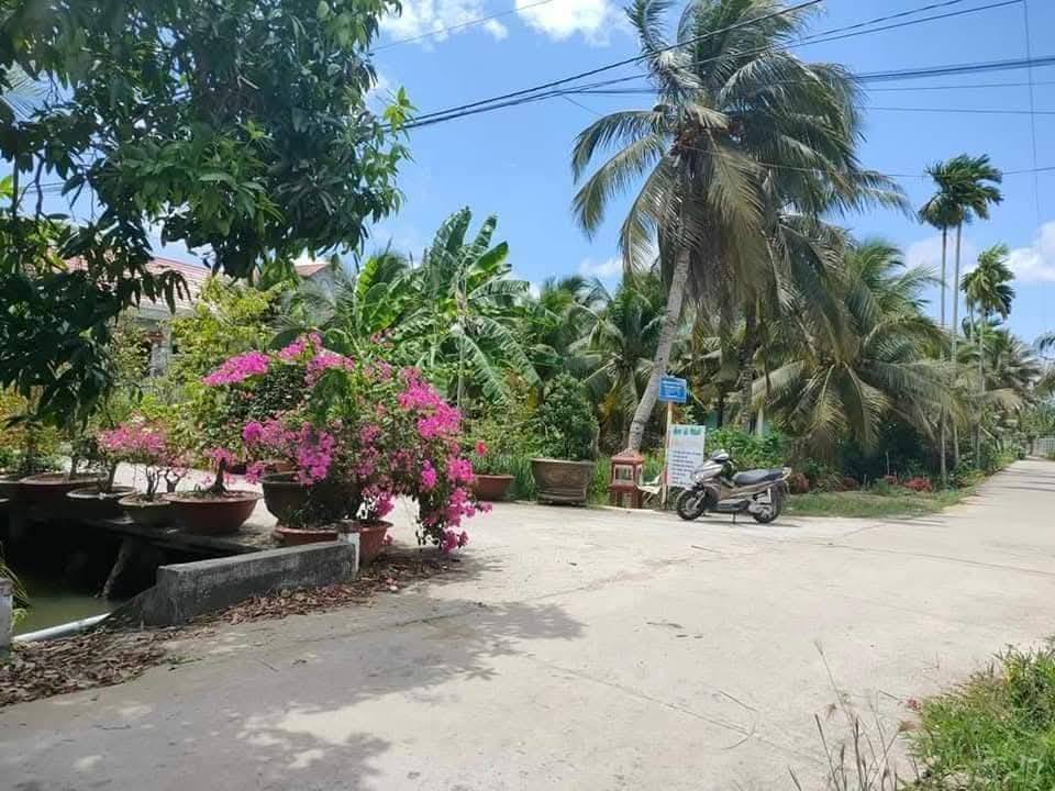 Đất nền đường Trần Văn Cửu, xã Phước Thạnh, 175m² - Cơ hội đầu tư sinh lời!