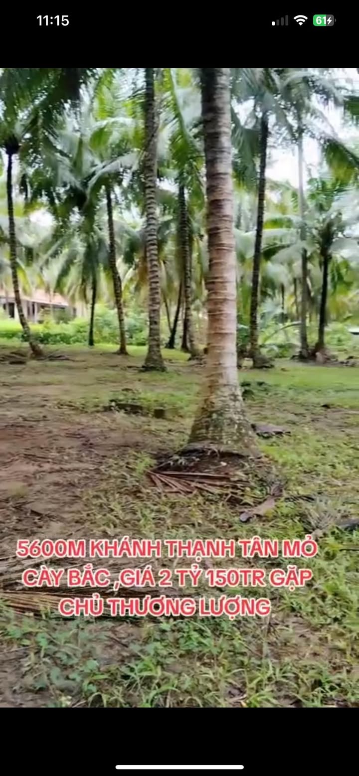 Đất vườn dừa Khánh thành Tân 5600m² giá 2.15 tỷ - Cơ hội đầu tư hấp dẫn!