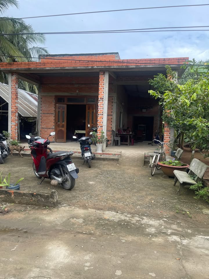 Nhà và đất Ấp An Nhơn 2, Đa Phước Hội 470m² giá 850 triệu - Cơ hội đầu tư hấp dẫn!