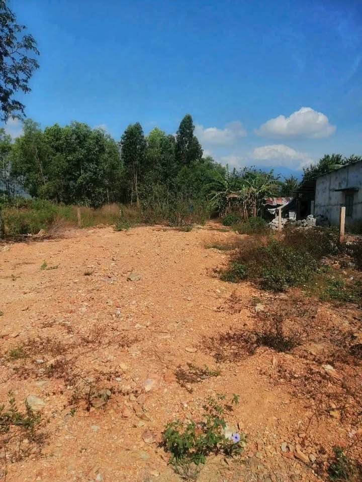 Đất thổ cư thôn 4 Ninh Sơn 529m² giá 999 triệu - Đầu tư sinh lời ngay!