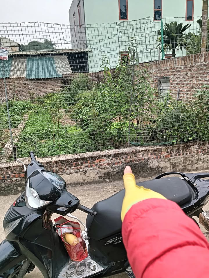 Đất thổ cư Thôn Thiên Đông, Xã Tam Hưng, 42.6m² giá 3 tỷ - Đầu tư sinh lời ngay!