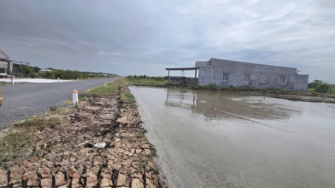 Đất nền Xã Ngũ Lạc, Trà Vinh 437m² giá 97.5 tỷ - Mặt tiền đường số 5, gần KCN!