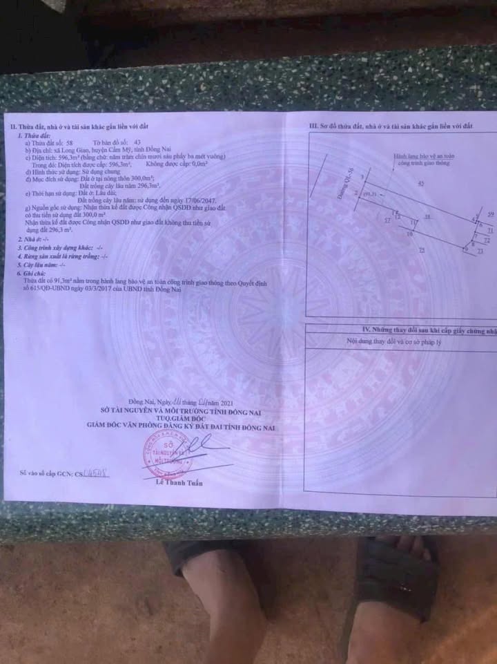 Đất thổ cư 596m² mặt tiền Quốc lộ 56, Long Giao - Cơ hội đầu tư tuyệt vời!