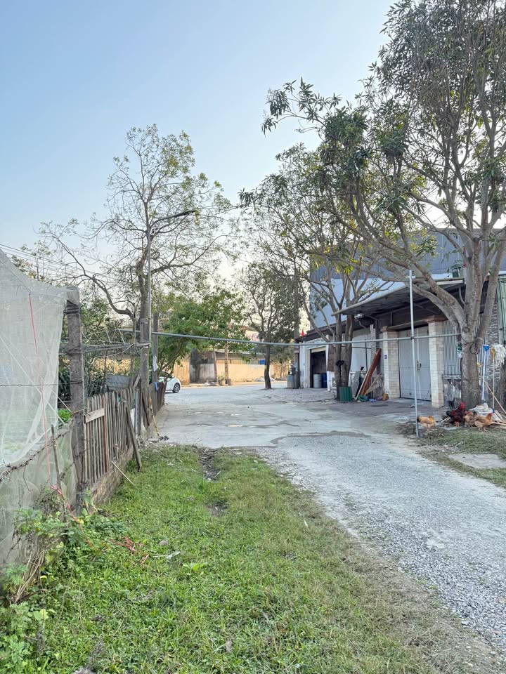 Đất nền Hưng Chính 80m² giá thỏa thuận - Vị trí đắc địa gần trường dạy lái