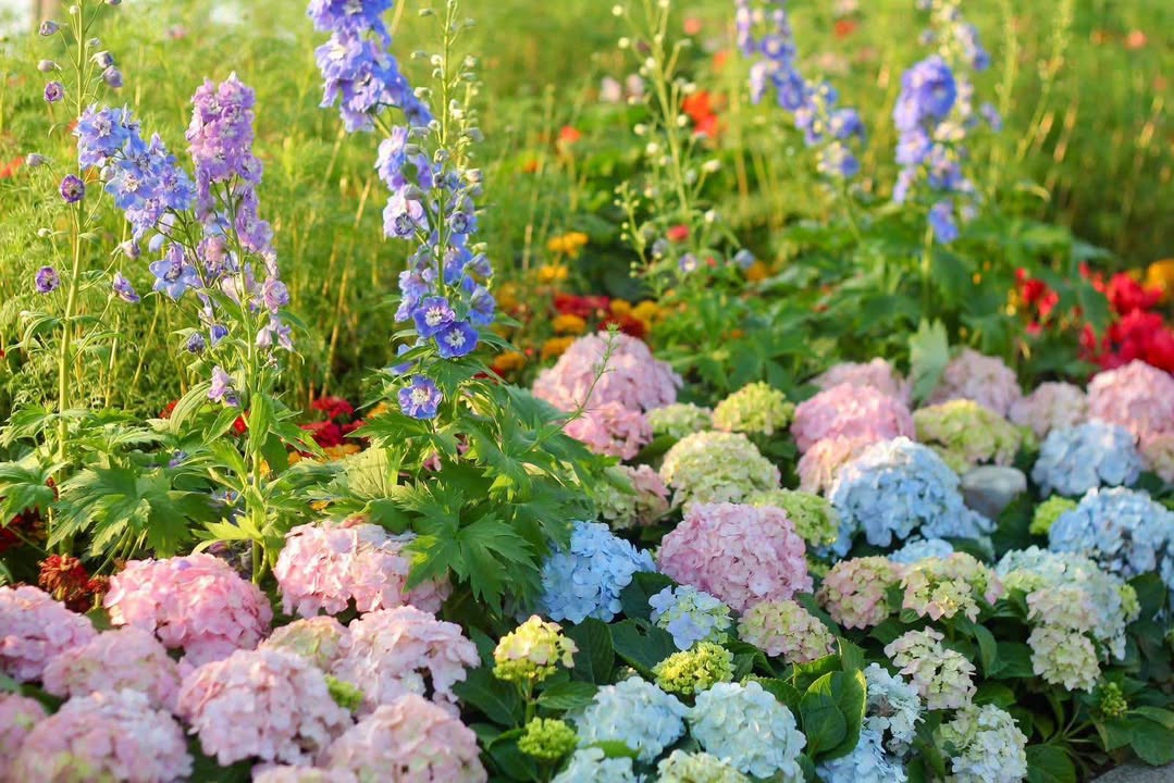 Đất đô thị Kỳ Đồng 56m² giá 2.0x tỷ - Cơ hội đầu tư hấp dẫn!