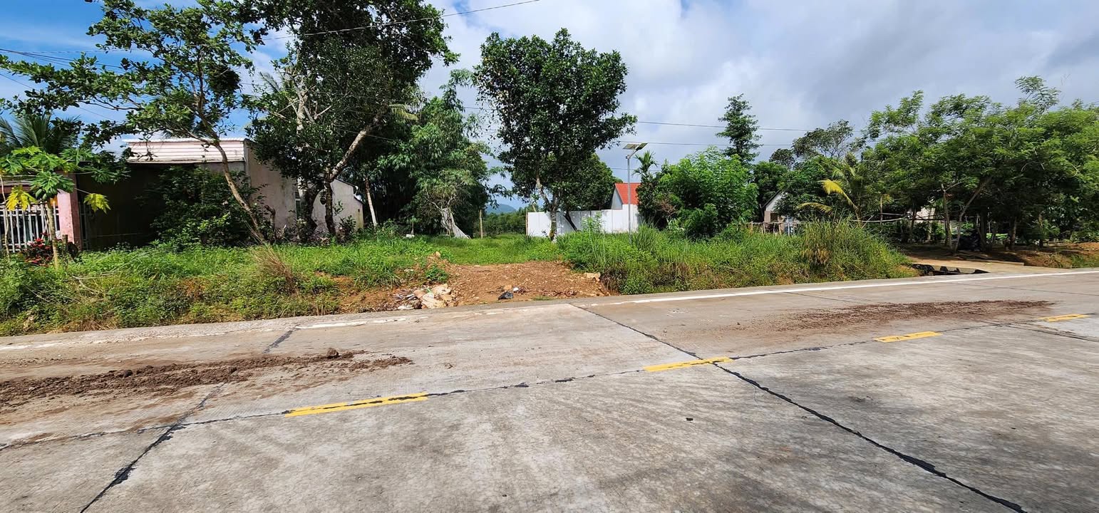 Đất mặt tiền ấp Rạch Vẹm, Gành Dầu, Phú Quốc 5500m² - Cơ hội đầu tư lý tưởng!