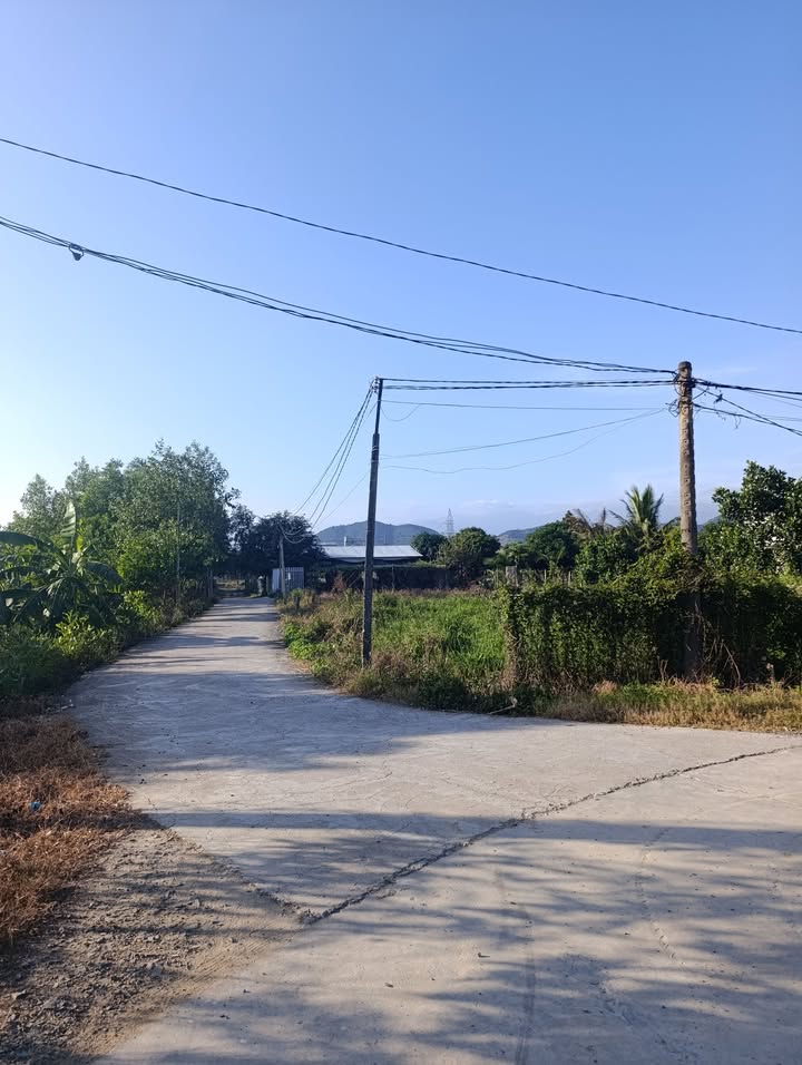 Đất nền Phước Lâm Ninh Xuân 113m² giá 4xx triệu - Sổ hồng chính chủ, không ngập nước!