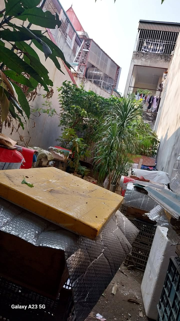 Đất nền Trương Hán Siêu, Thanh Hóa 68,3m² giá 1 tỷ - Đường ô tô vào tận nơi!