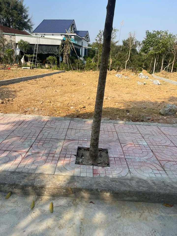 Đất nền Hợp Tiến, Triệu Sơn 100m² giá chỉ từ 200 triệu - Cơ hội đầu tư hiếm có!