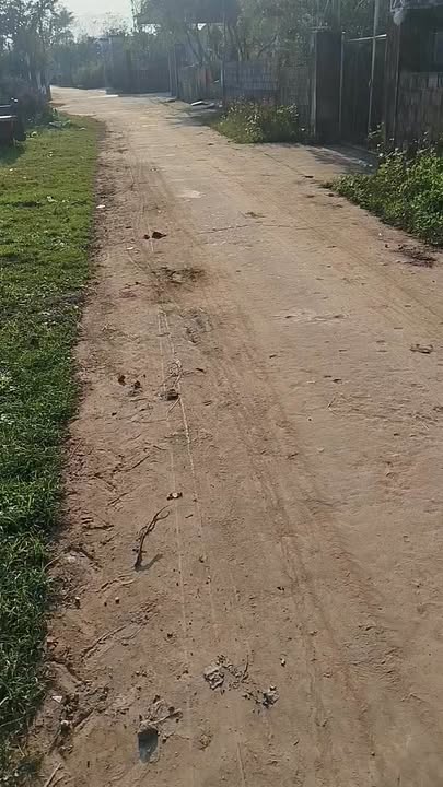 Đất nền thôn Trung Tâm, xã Yên Mỹ, huyện Nông Cống 154m² giá 500 triệu - Đầu tư lý tưởng!