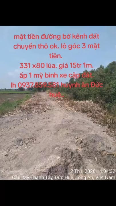 Đất nền Ấp 1, Mỹ Bình, 8000m² giá 1.2 tỷ - Sổ hồng chính chủ, đầu tư tiềm năng!