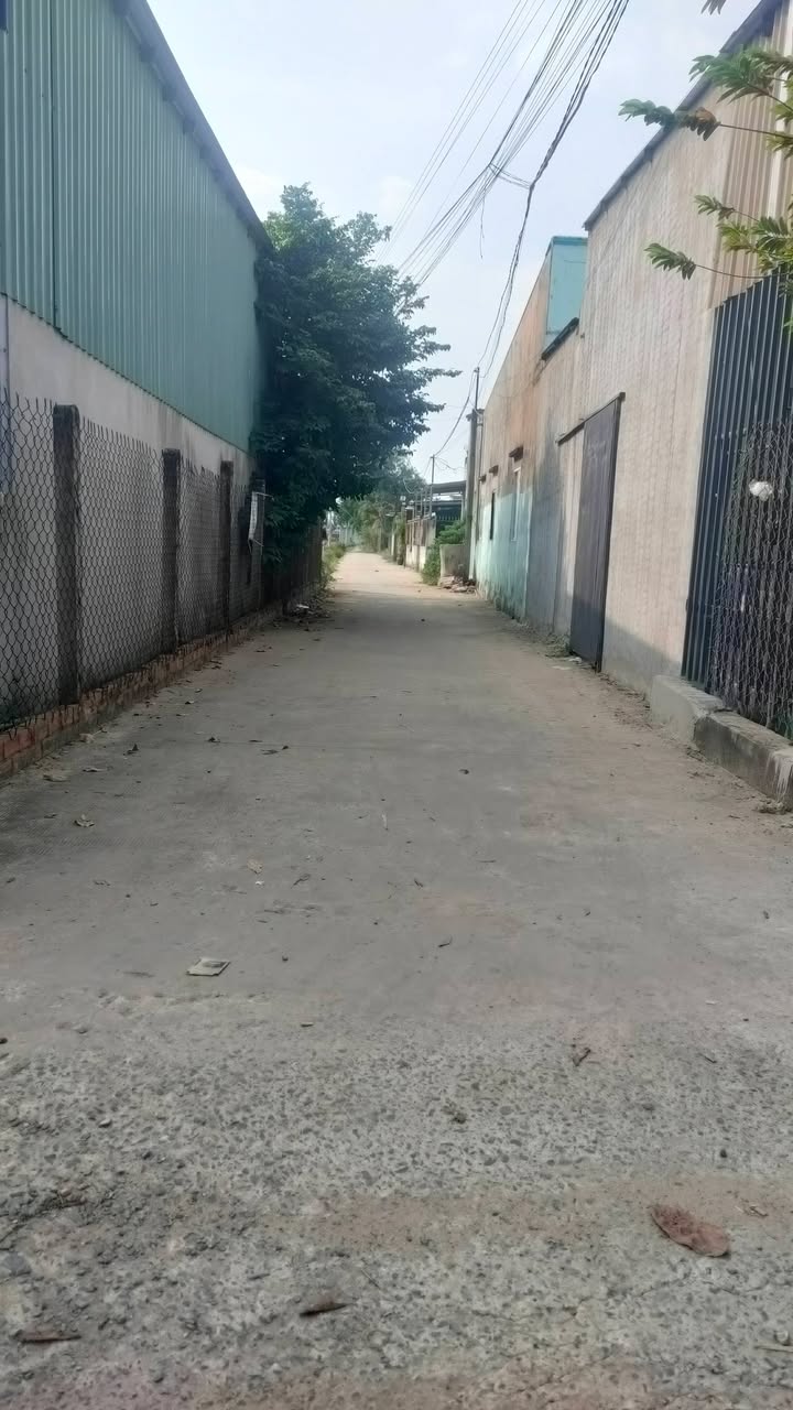 Đất thổ cư 2 mặt tiền tại Mỹ Hạnh Nam 2100m² - Sổ hồng riêng, giá tốt!