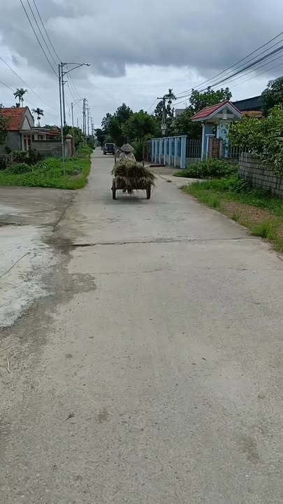 Đất nền 3 mặt tiền tại đê Ngư Hàm, Nga Sơn 253m² - Giá chỉ 5 triệu/m²!