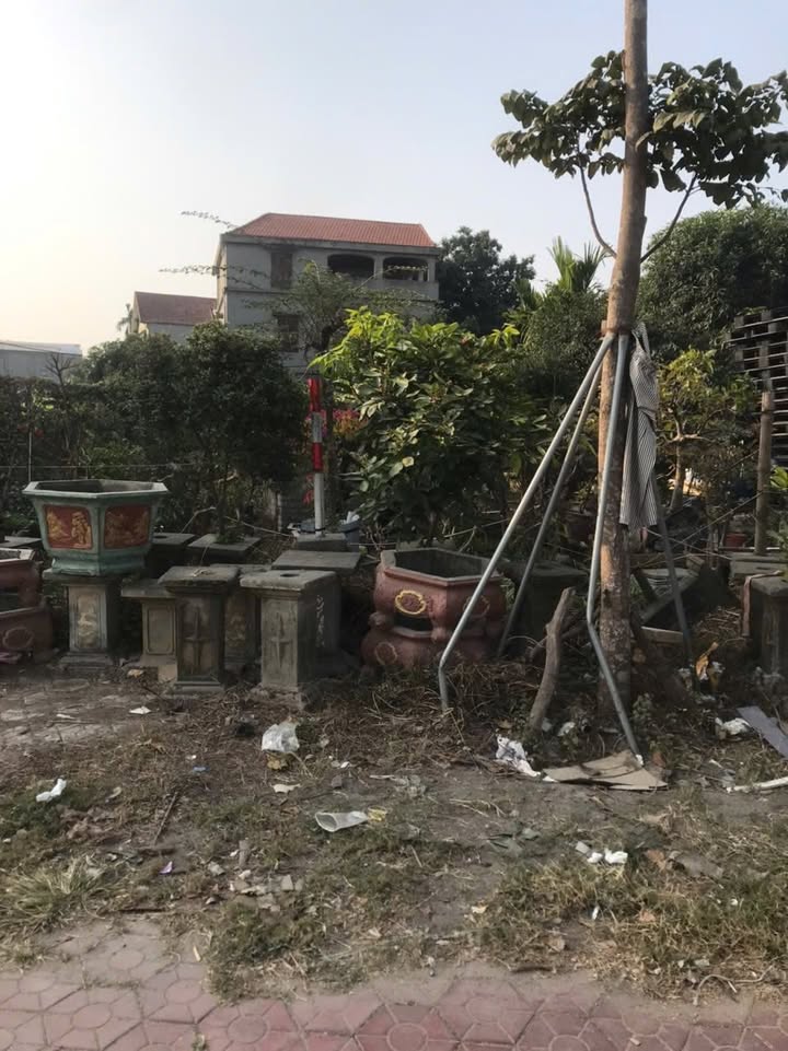 Đất nền mặt tiền QL5 Bạch Sam 100m² giá 6 tỷ - Sổ đỏ chính chủ!