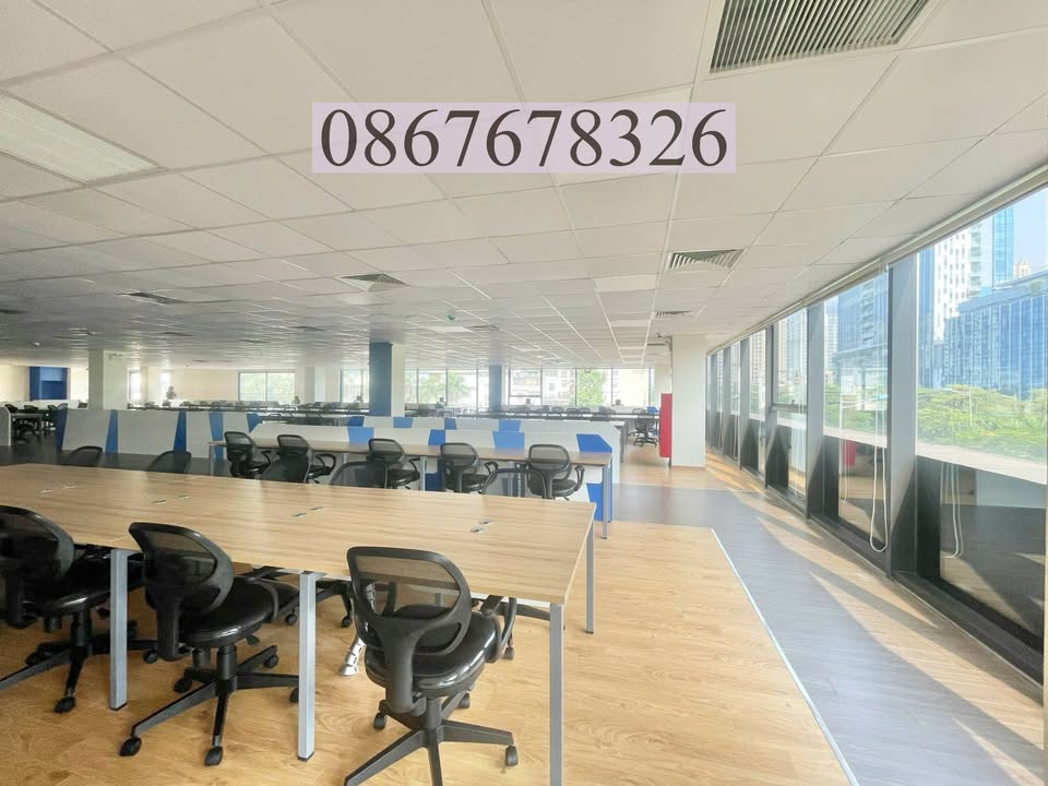 Văn phòng cho thuê Nguyễn Phong Sắc Cầu Giấy 260m² giá chỉ từ 39 triệu/tháng
