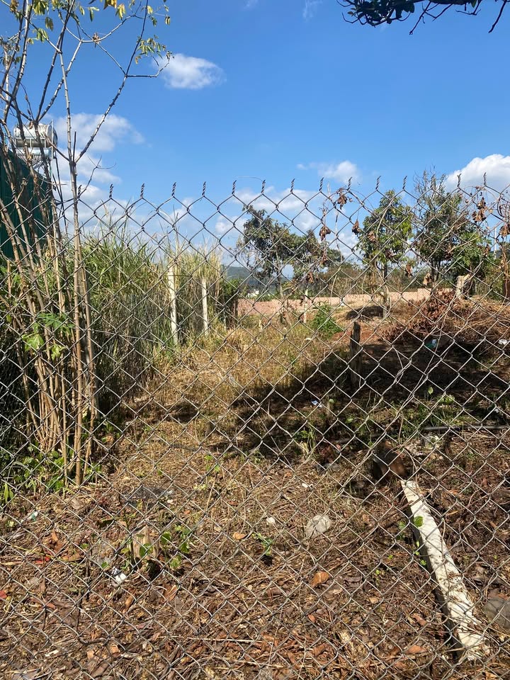 Đất hẻm số 2 Thống Nhất, Đức Trọng 140m² giá 1.75 tỷ - Gần trung tâm tiện ích!