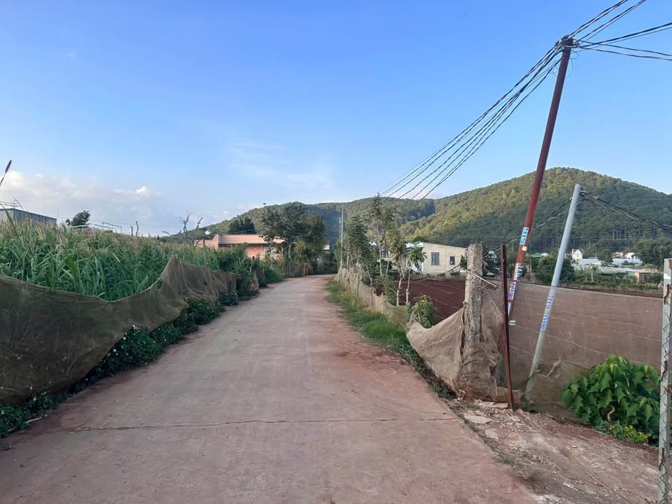 Đất nền Đạ Ròn, Đơn Dương, Lâm Đồng 1600m² - Vị trí đẹp, giá tốt!