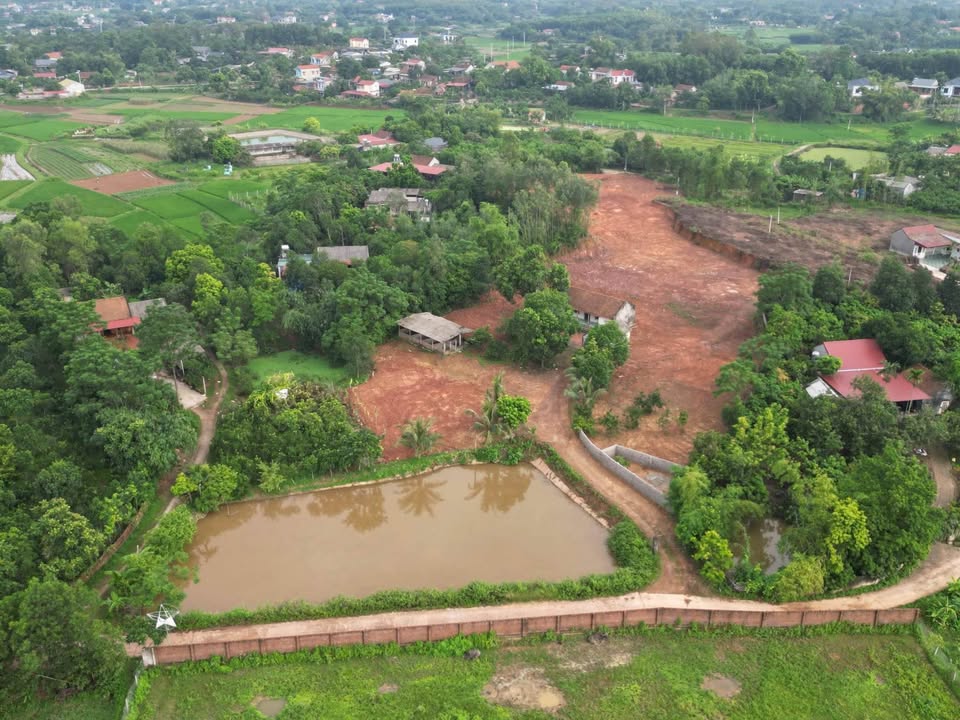 Lô đất nghỉ dưỡng 8000m² tại Tân Yên, Bắc Ninh - Tiềm năng đầu tư cao!