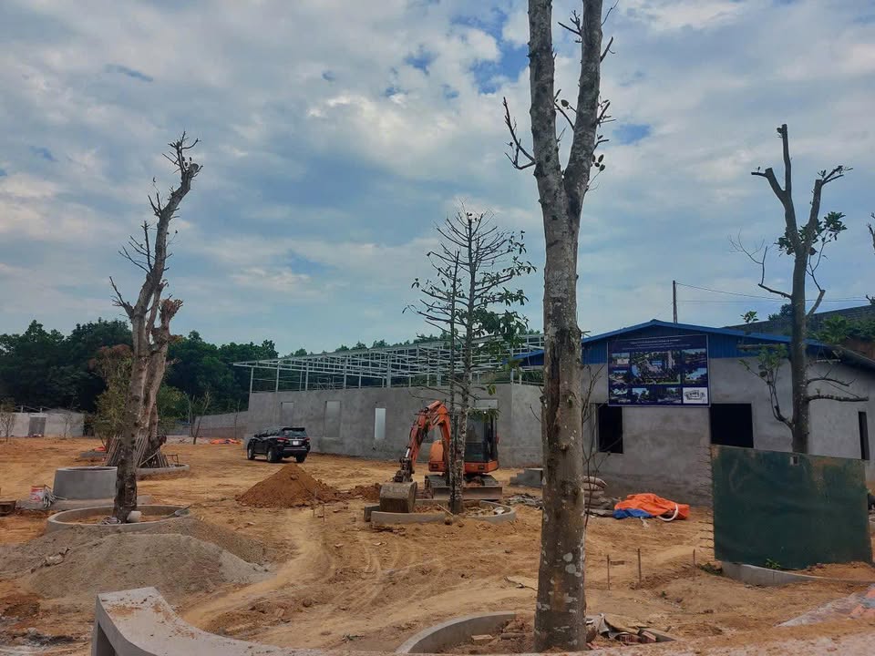 Đất dự án Phù Ninh 5000m² giá 5 tỷ - Tiềm năng phát triển lớn!