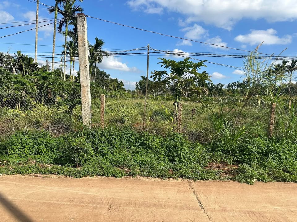 Đất nền xã Phú Xuân, huyện Krông Năng 1053m² giá chỉ 85.3 tỷ - Cơ hội đầu tư tuyệt vời!