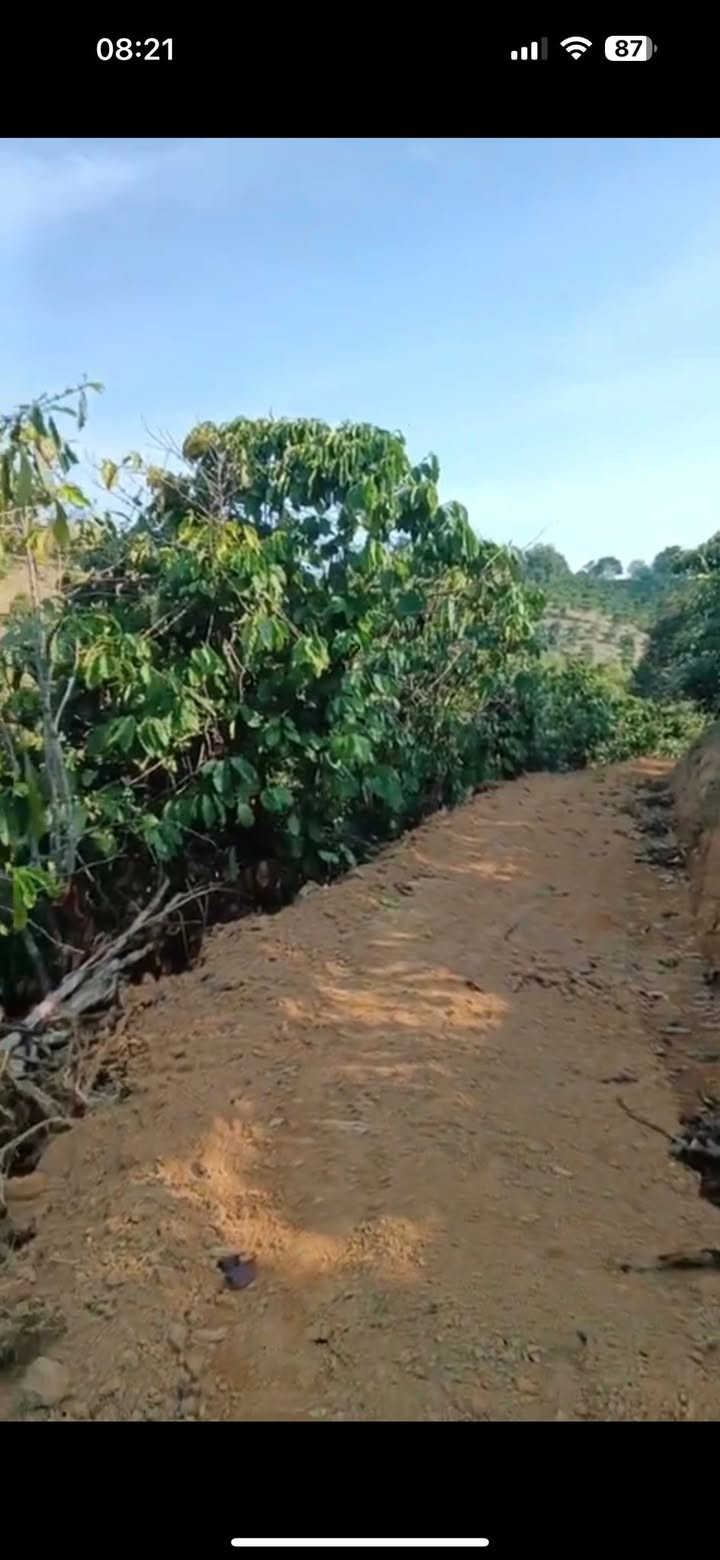 Đất nền Tổ 4, Gia Nghĩa 1,5ha giá 850 triệu - Cơ hội đầu tư hấp dẫn!