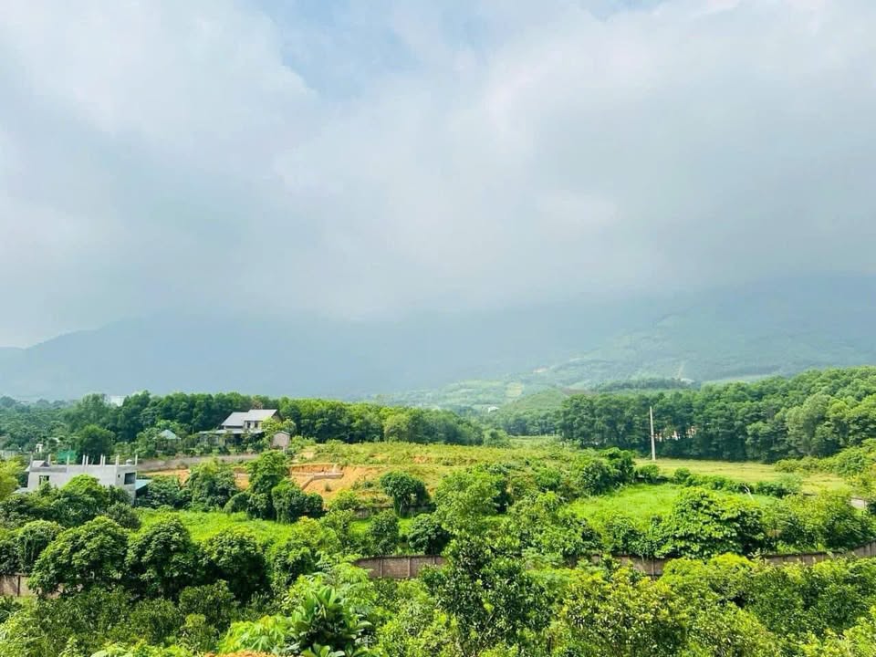 Đất nền Tiến Xuân Thạch Thất 4500m² giá chỉ 5 triệu/m² - Cơ hội đầu tư hấp dẫn!