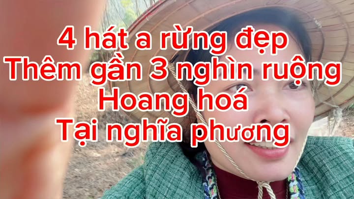 Đất nông nghiệp 40.000m² tại Nghĩa Phương, Lục Nam - Giá tốt, cơ hội đầu tư hấp dẫn!