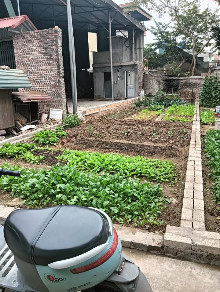 Lô đất 68m² tại Hương Mạc, Từ Sơn chỉ 2 tỷ - Cơ hội đầu tư hấp dẫn!