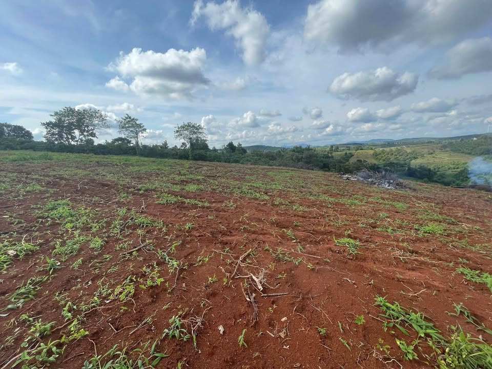 Đất nông nghiệp 3.3 ha tại Ea Nam, Đắk Lắk - Giá 4 tỷ, bao bìa ngay!