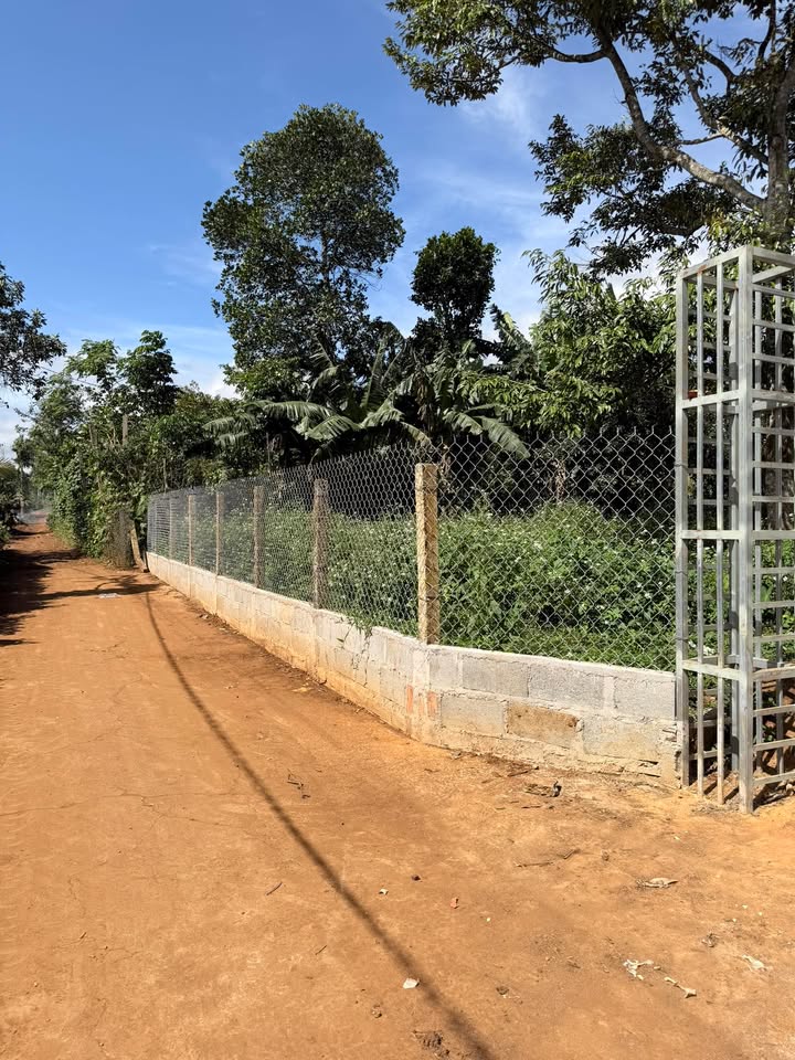 Đất nền xã Ea Ngai, huyện Krông Búk 500m² giá 2.85 tỷ - Cơ hội đầu tư tuyệt vời!